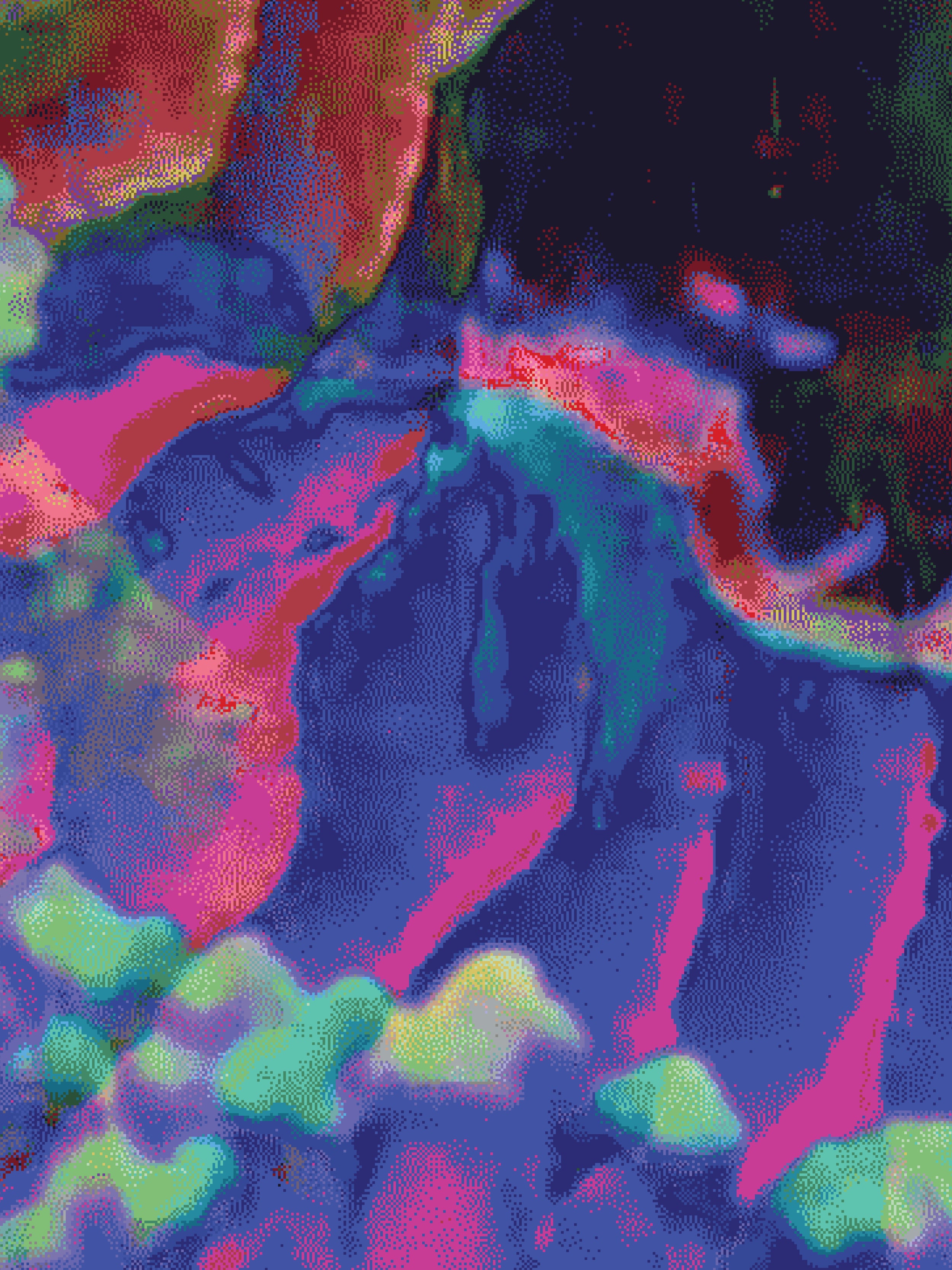 Coral 3 — X9