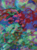 Coral 6 — X9