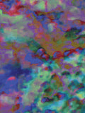 Coral 7 — X9