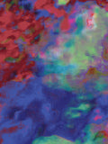 Coral 8 — X9