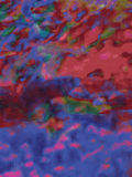 Coral 9 — X9