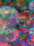 Coral 13 — X9