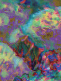 Coral 15 — X9