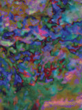 Coral 23 — X9