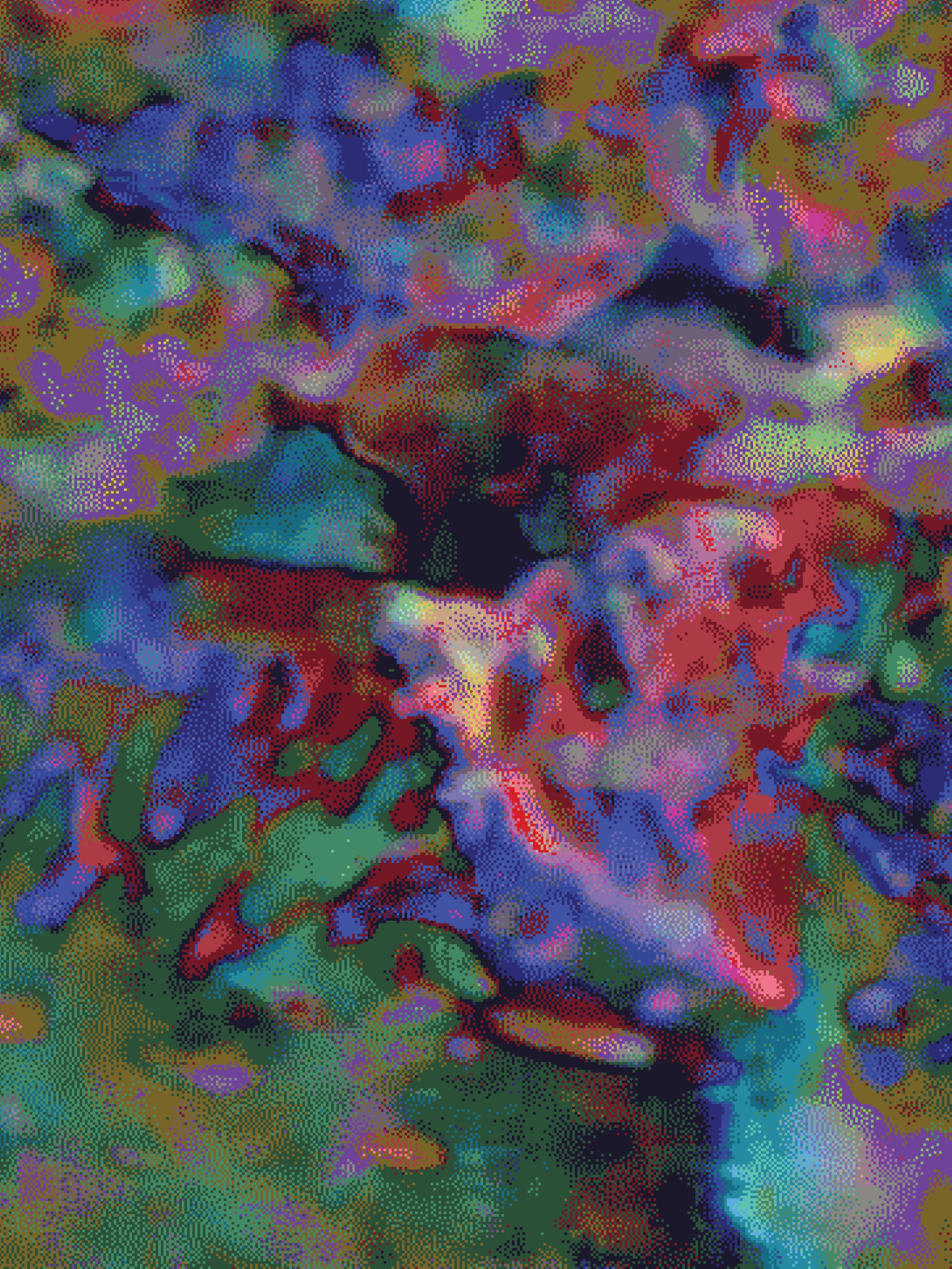 Coral 24 — X9