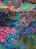 Coral 25 — X9
