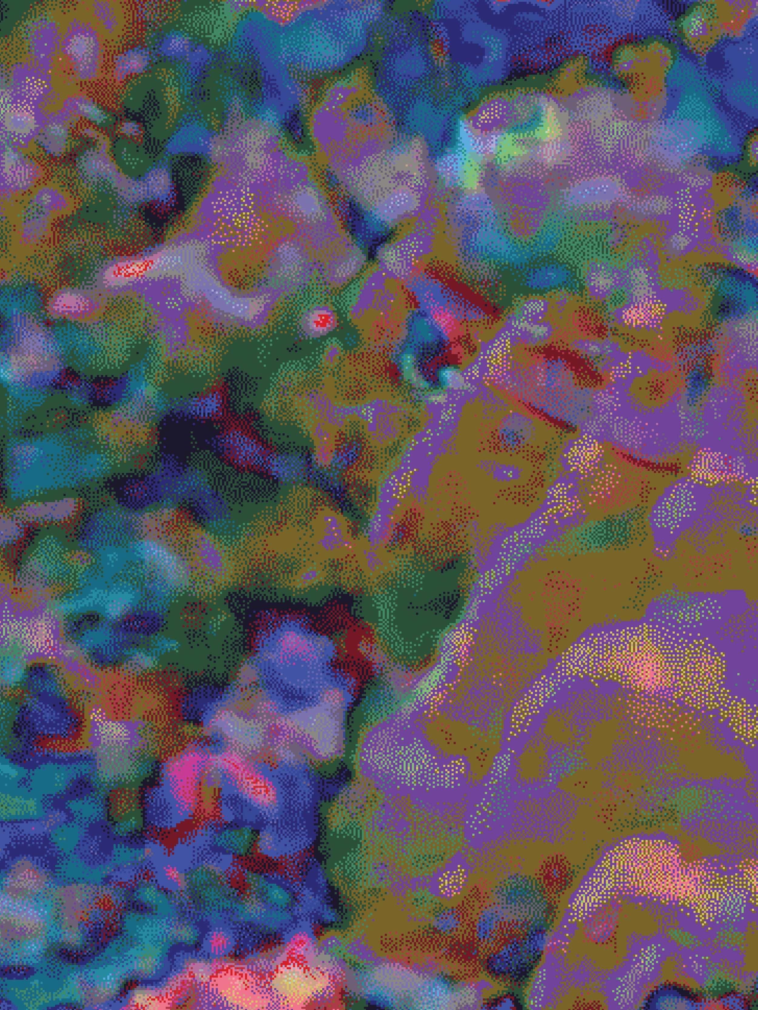 Coral 31 — X9