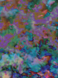 Coral 32 — X9