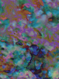 Coral 33 — X9