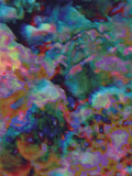 Coral 34 — X9