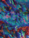 Coral 38 — X9