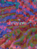 Coral 40 — X9