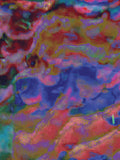 Coral 41 — X9
