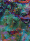 Coral 42 — X9