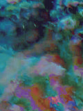 Coral 43 — X9