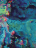 Coral 44 — X9
