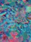 Coral 45 — X9