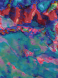 Coral 47 — X9