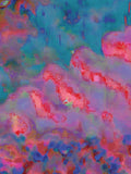 Coral 50 — X9