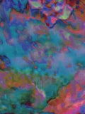 Coral 51 — X9