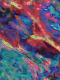 Coral 55 — X9