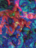 Coral 57 — X9