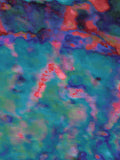 Coral 58 — X9