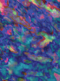 Coral 64 — X9