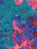 Coral 70 — X9