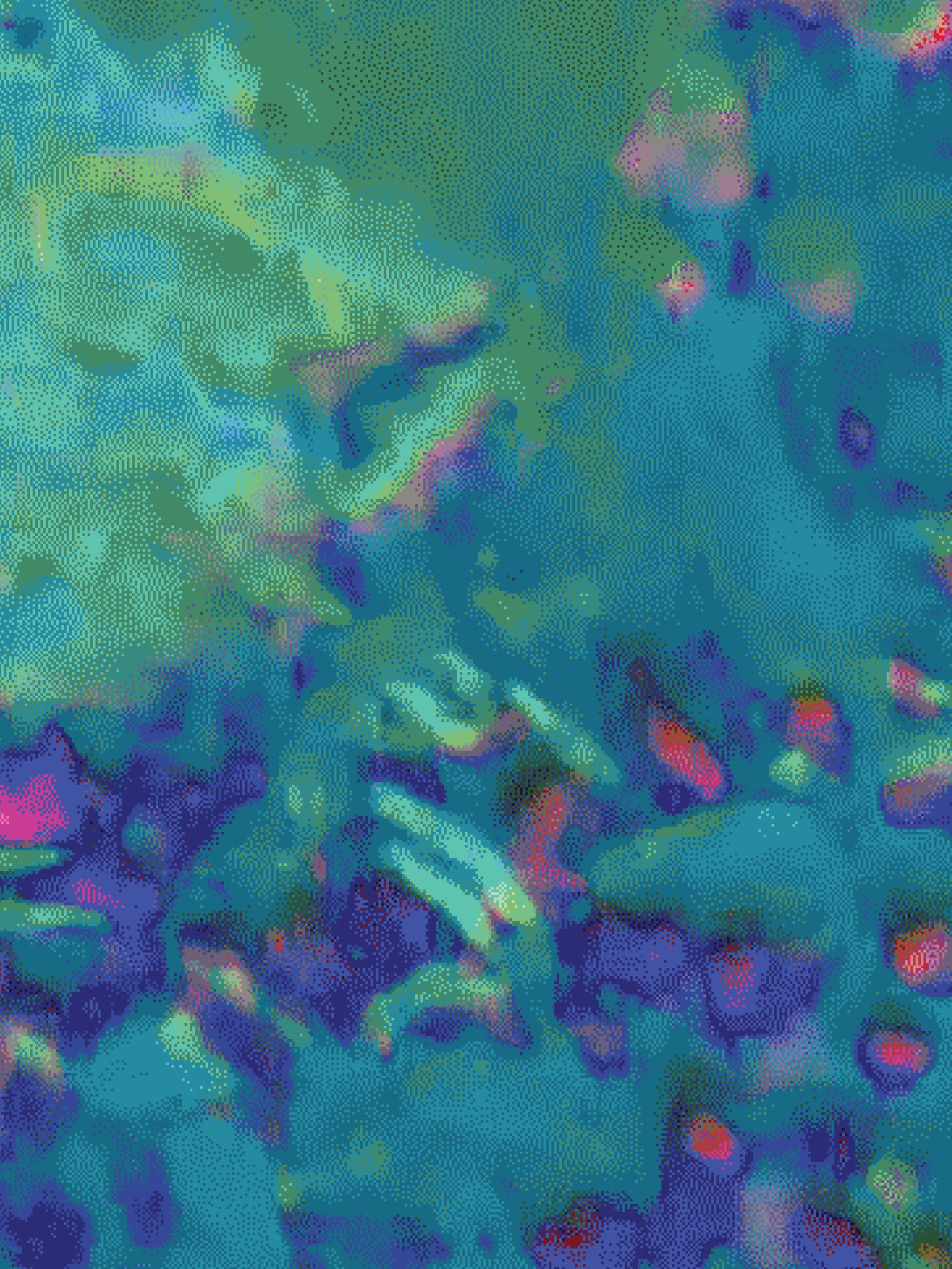 Coral 71 — X9