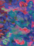 Coral 73 — X9