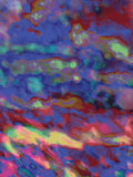 Coral 74 — X9