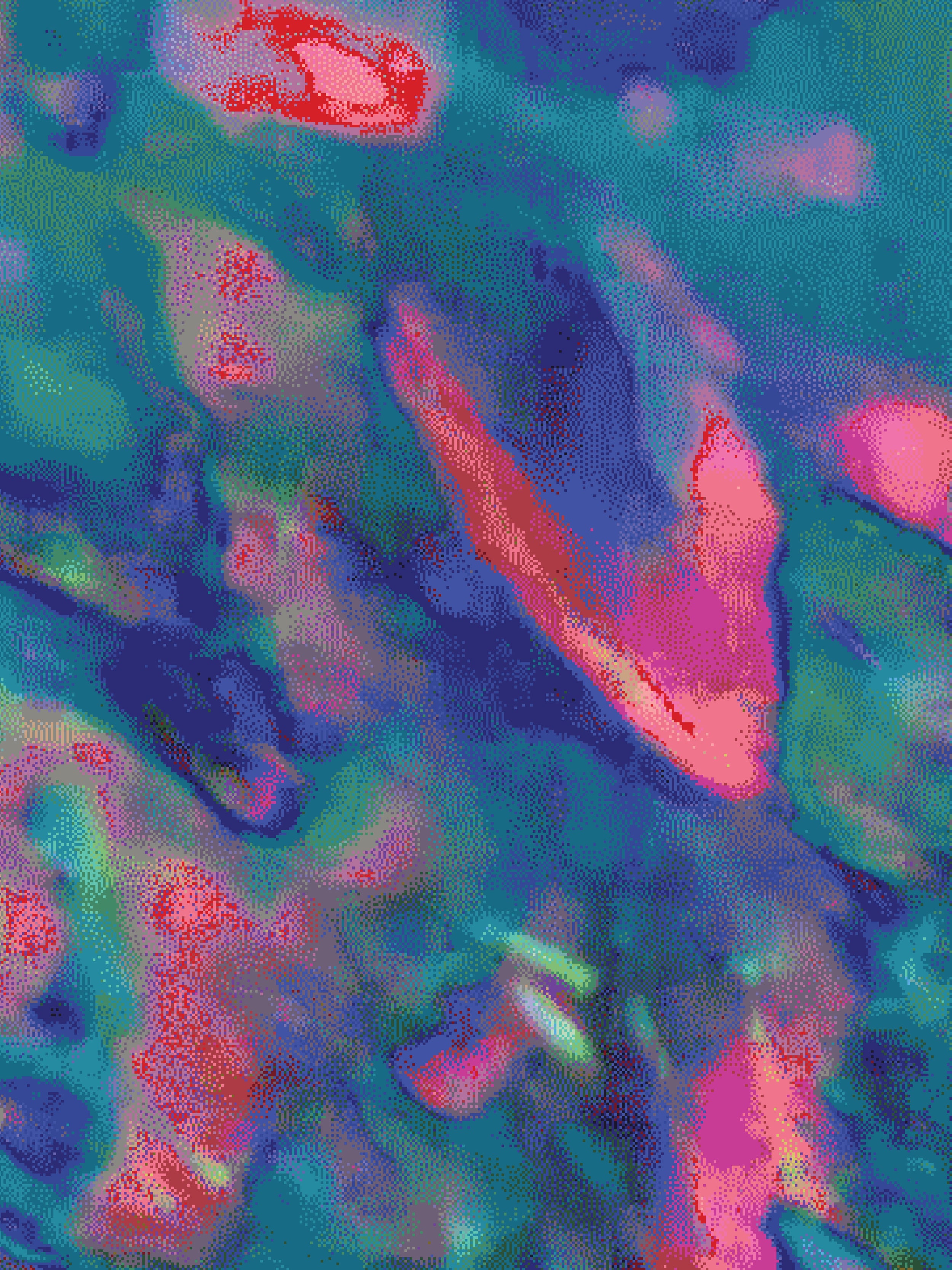 Coral 77 — X9