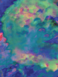 Coral 2 — X9