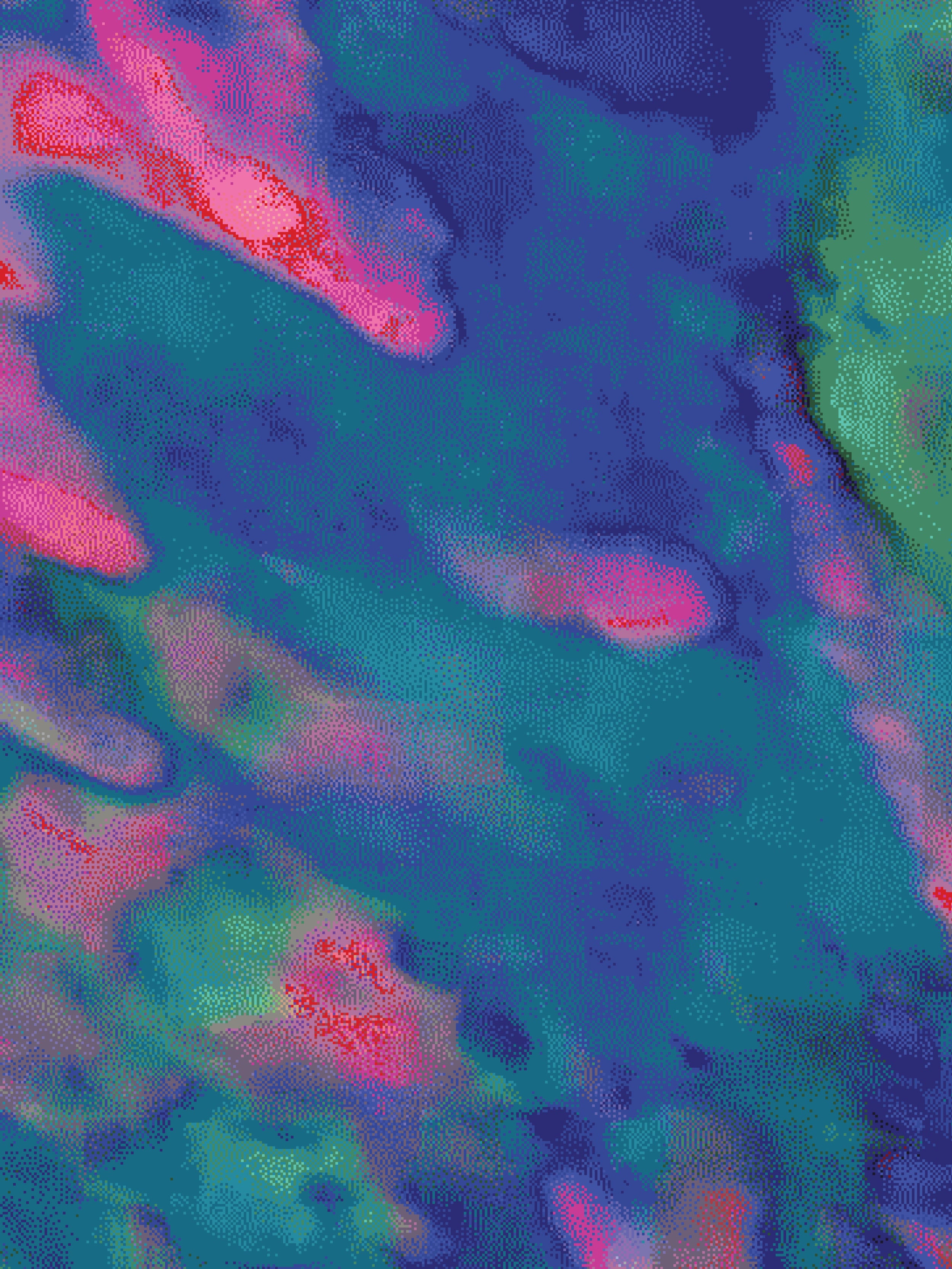 Coral 79 — X9