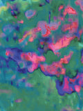 Coral 80 — X9