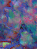 Coral 83 — X9
