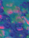 Coral 86 — X9