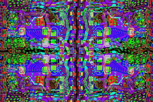 Amoeba