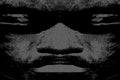 Boss Mask
