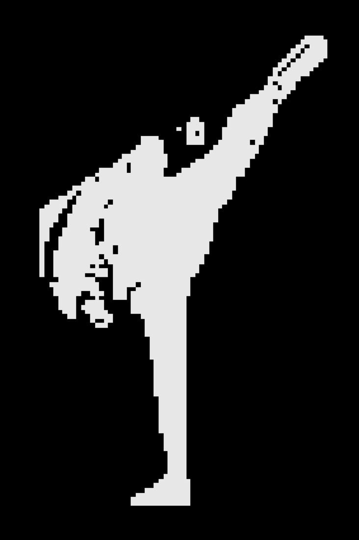 BW HI Kick