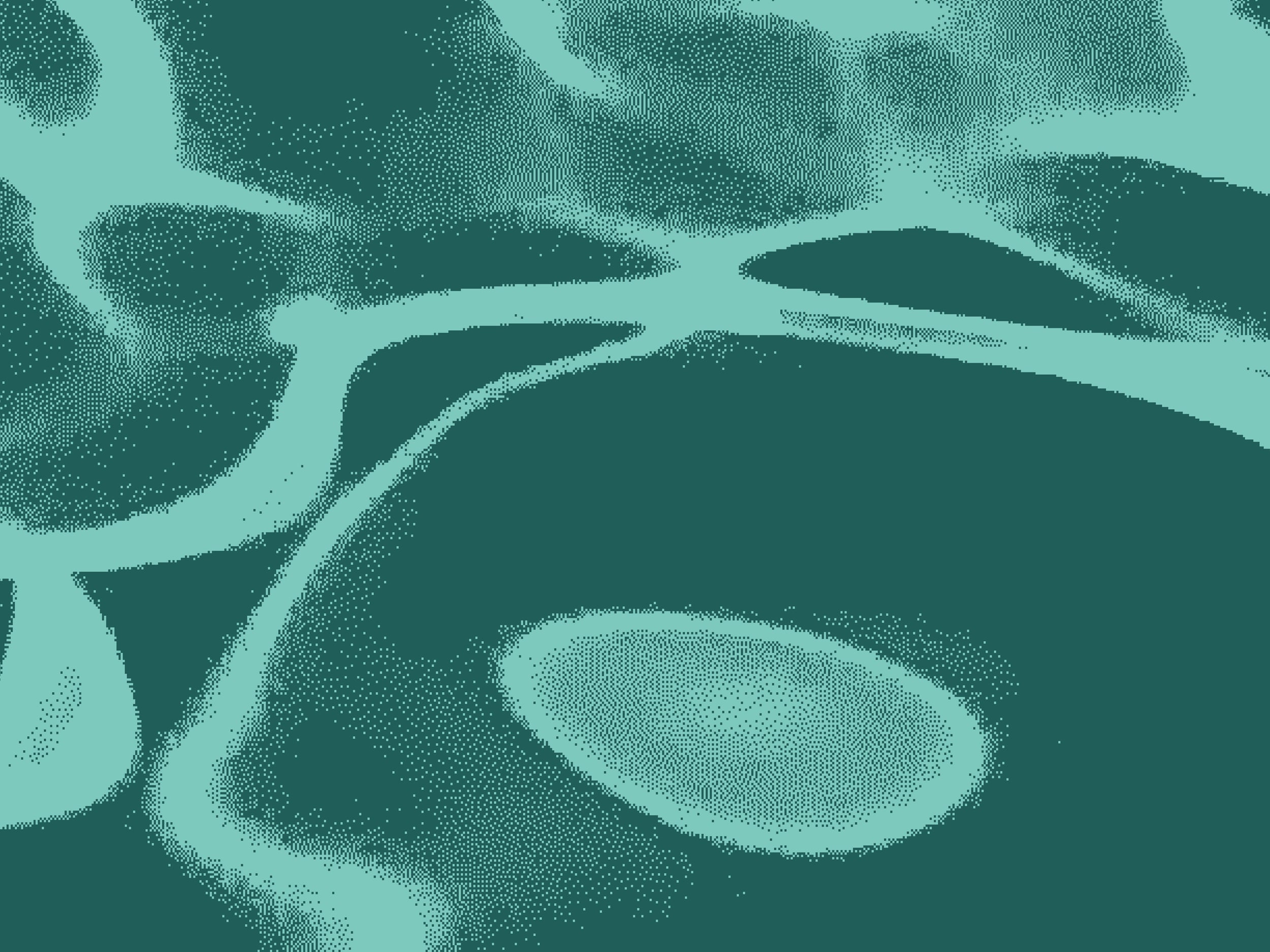 Mac 56 — X9