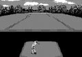 Virtual Golf